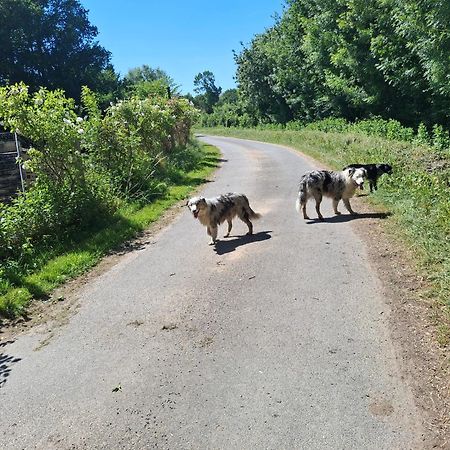 Le Mouton Panzió Blaison Kültér fotó