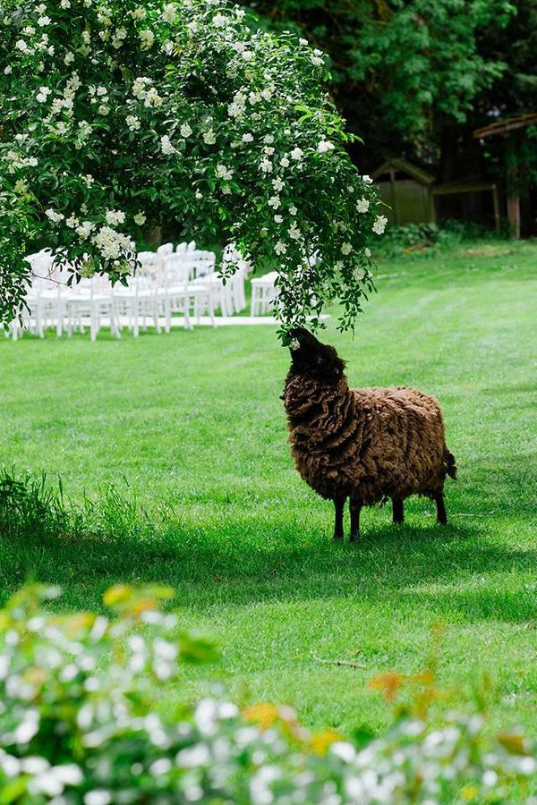 Le Mouton Panzió Blaison Kültér fotó